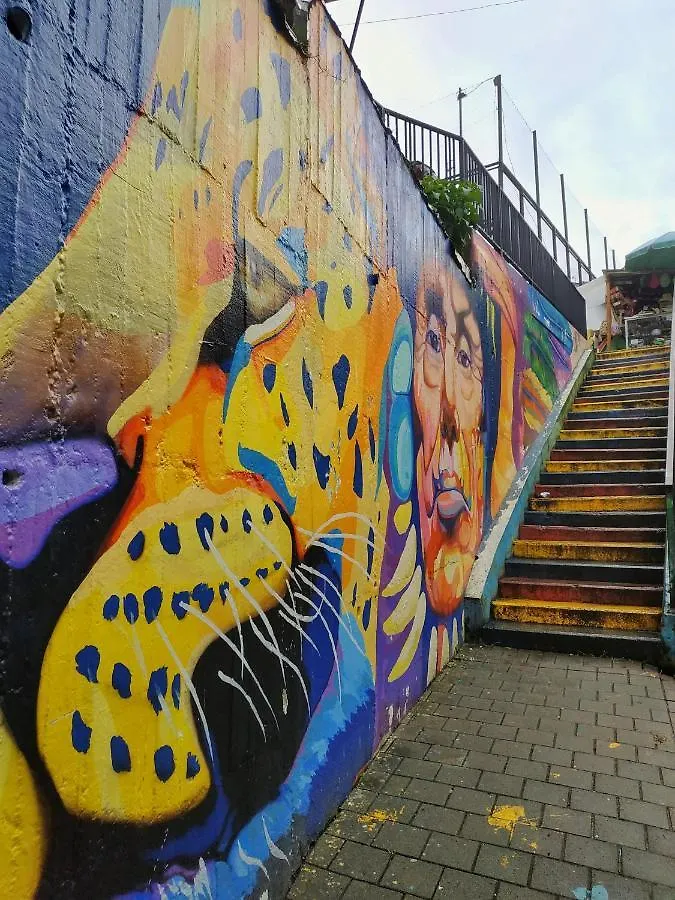 Apartamento Graffitour Comuna 13 Medellín 0*,